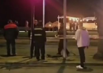 Dueña de perro electrocutado en Viña del Mar pide justicia