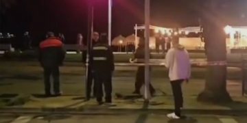 Dueña de perro electrocutado en Viña del Mar pide justicia