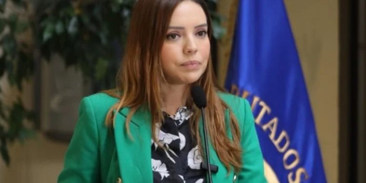 Alza al combustible: El costo de llevar adelante el programa de gobierno