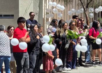Roban materiales de reconstrucción en zona afectada por megaincendio en El Olivar