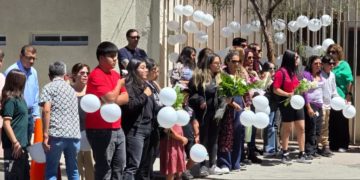 Roban materiales de reconstrucción en zona afectada por megaincendio en El Olivar