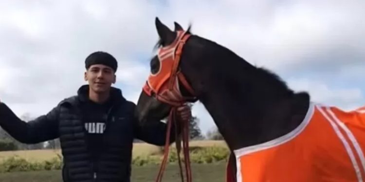 Talento se descentraliza