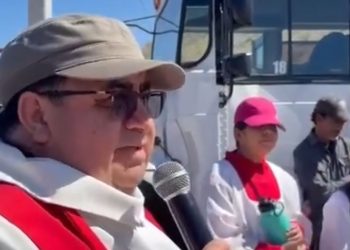 Parkinson: avances, desafíos y oportunidades para Chile