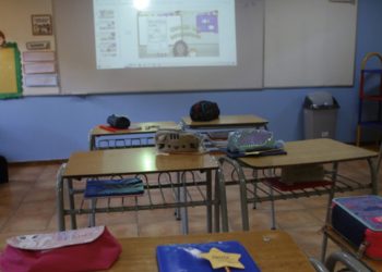 Chile retoma exportaciones avícolas a principales mercados tras brote de influenza aviar