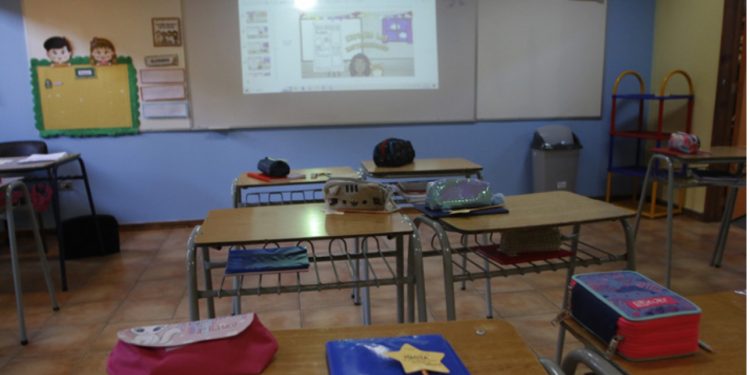 Chile retoma exportaciones avícolas a principales mercados tras brote de influenza aviar