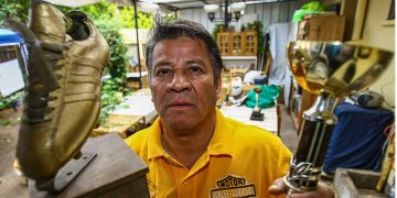 Chile retoma exportaciones avícolas a principales mercados tras brote de influenza aviar