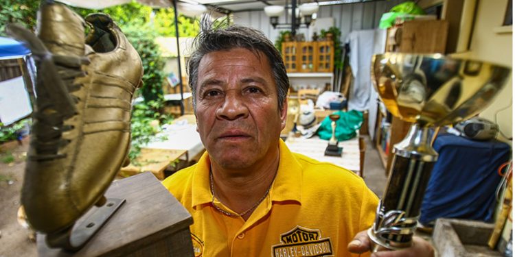 Chile retoma exportaciones avícolas a principales mercados tras brote de influenza aviar