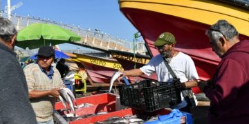 A 16 se eleva número de heridos tras violento choque en peaje de Casablanca