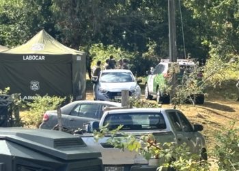 Entregan detalles de hallazgo de restos humanos en el predio Chuñil