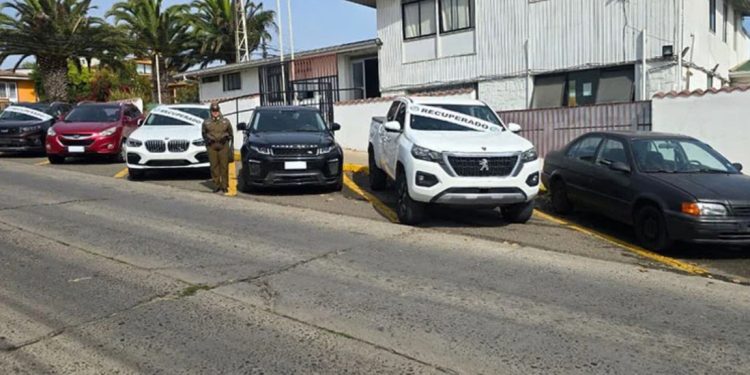 Estudiantes de Santo Tomás Viña del Mar realizan “Mechoneo Solidario”