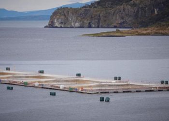 El Olivar: el informe y la decisión de demoler