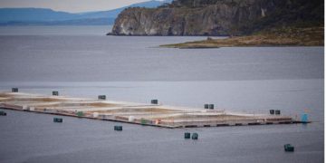 El Olivar: el informe y la decisión de demoler