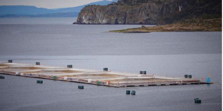 El Olivar: el informe y la decisión de demoler