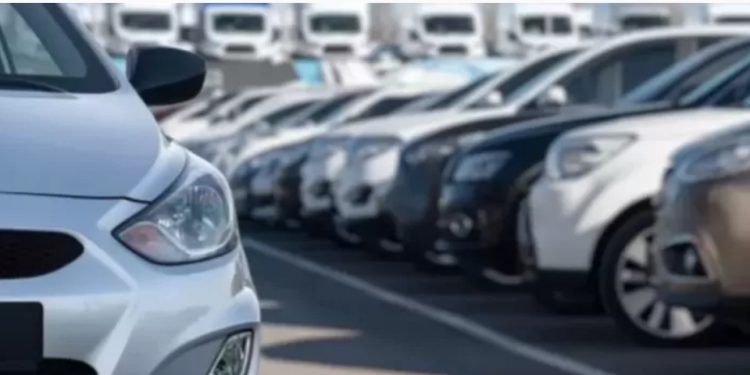 El Olivar: el informe y la decisión de demoler