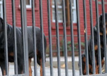 Aprueban Escuelas Protegidas y proyecto avanza al Senado