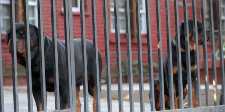 Aprueban Escuelas Protegidas y proyecto avanza al Senado