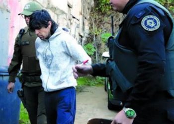 Vacunación y cuidados en el hogar: Cómo preparar a las mascotas para enfrentar las bajas temperaturas