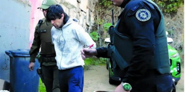 Vacunación y cuidados en el hogar: Cómo preparar a las mascotas para enfrentar las bajas temperaturas