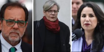 Vacunación y cuidados en el hogar: Cómo preparar a las mascotas para enfrentar las bajas temperaturas