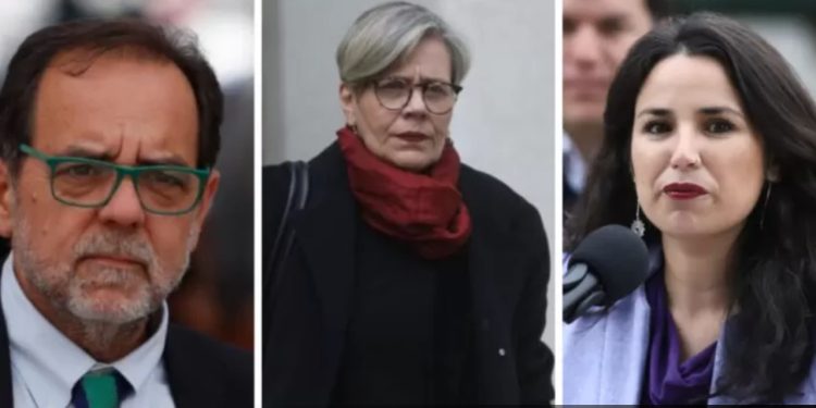 Vacunación y cuidados en el hogar: Cómo preparar a las mascotas para enfrentar las bajas temperaturas