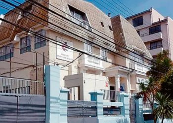 Vacunación y cuidados en el hogar: Cómo preparar a las mascotas para enfrentar las bajas temperaturas