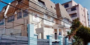 Vacunación y cuidados en el hogar: Cómo preparar a las mascotas para enfrentar las bajas temperaturas