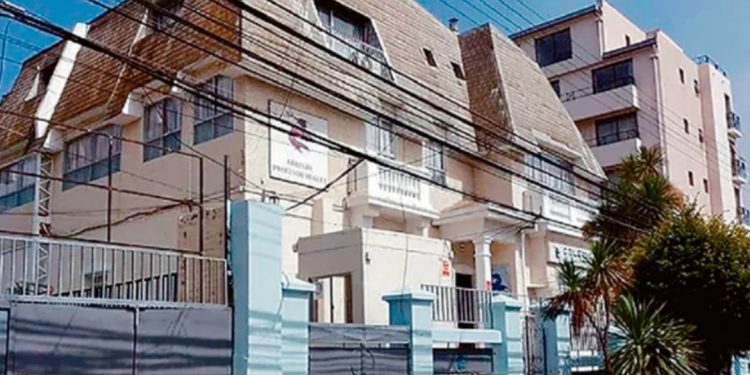 Vacunación y cuidados en el hogar: Cómo preparar a las mascotas para enfrentar las bajas temperaturas