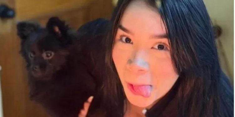 Más de 20 médicos renunciados en apoyo a directora que reclutó a exministra Vega en Hospital de San Antonio