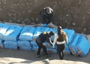 Incendio destruye dos viviendas y deja tres fallecidos en Chiloé