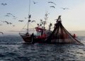 Parlamentarios divididos por decisión del Gobierno de desechar Ley de Pesca de Boric y presentar proyectos acotados y rápidos