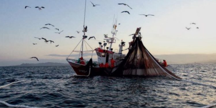 Parlamentarios divididos por decisión del Gobierno de desechar Ley de Pesca de Boric y presentar proyectos acotados y rápidos