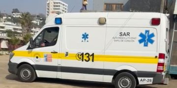 Subsecretaría de pesca monitorea situación por ausencia de jurel en la región del Biobío