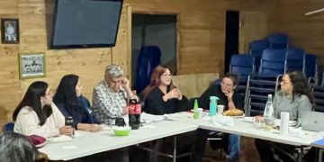 Tras oficio de diputada Bello, CONAF confirma tala de bosque nativo en sector La Estancilla de Llay-Llay