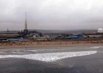 Detectan altos niveles de metales pesados en especies marinas comestibles en Bahía de Quintero