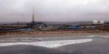 Detectan altos niveles de metales pesados en especies marinas comestibles en Bahía de Quintero
