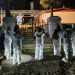 Avistamientos de pumas en zonas urbanas: expertos explican por qué ocurre y cómo reaccionar