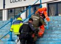 Avistamientos de pumas en zonas urbanas: expertos explican por qué ocurre y cómo reaccionar