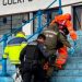 Avistamientos de pumas en zonas urbanas: expertos explican por qué ocurre y cómo reaccionar