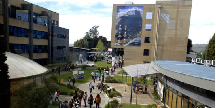 Operativo de salud intercultural en Quillota acercó prestaciones médicas y medicina ancestral a pueblos originarios