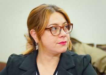 Diputada Bello pide transparencia tras incumplimiento en declaración de patrimonio de alcalde de Rinconada, Juan Galdames