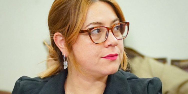 Diputada Bello pide transparencia tras incumplimiento en declaración de patrimonio de alcalde de Rinconada, Juan Galdames
