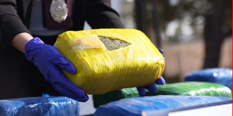 Mujer queda en prisión preventiva tras ser sorprendida transportando drogas desde Viña a Valparaíso