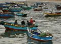 Contraloría declara ilegal resolución de Gobierno de Boric que permitió aumentar registro de pesca vulnerando los mecanismos establecidos