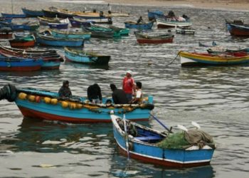 Contraloría declara ilegal resolución de Gobierno de Boric que permitió aumentar registro de pesca vulnerando los mecanismos establecidos