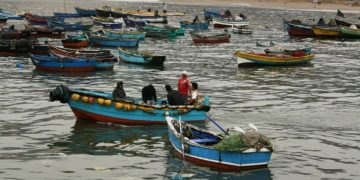 Contraloría declara ilegal resolución de Gobierno de Boric que permitió aumentar registro de pesca vulnerando los mecanismos establecidos