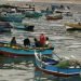 Contraloría declara ilegal resolución de Gobierno de Boric que permitió aumentar registro de pesca vulnerando los mecanismos establecidos