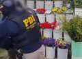 Diputado Luis Pardo pide a Contraloría investigar irregulares en el municipio de Panquehue