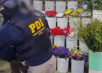 Diputado Luis Pardo pide a Contraloría investigar irregulares en el municipio de Panquehue