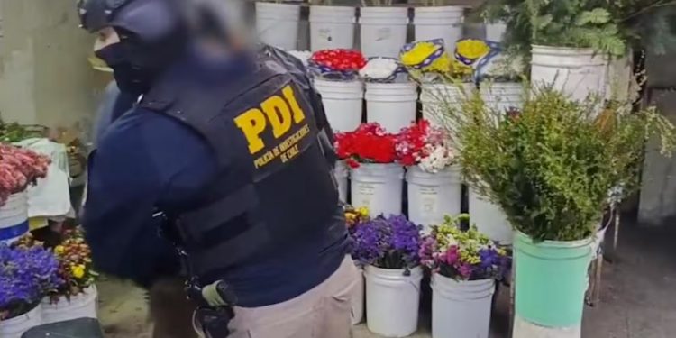 Diputado Luis Pardo pide a Contraloría investigar irregulares en el municipio de Panquehue