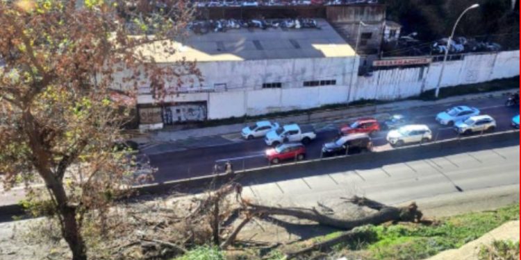 Gobierno activó el Código Azul en Los Andes y San Felipe por bajas temperaturas